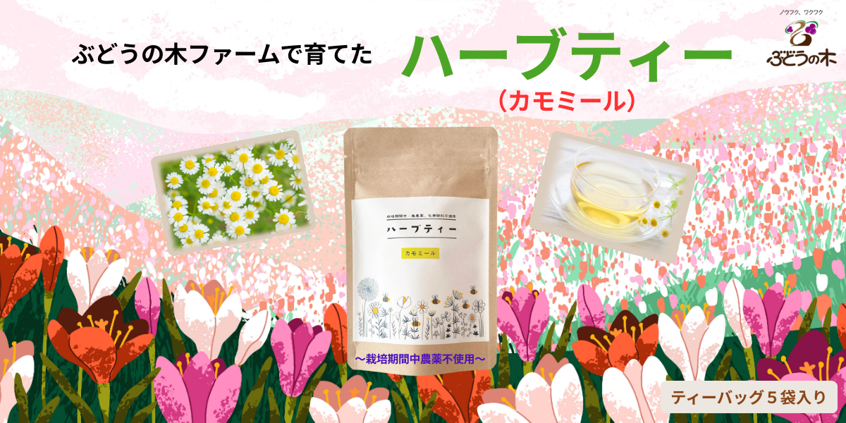 ぶどうの木ファームで育てたハーブティー（カモミール）のご購入はこちらから